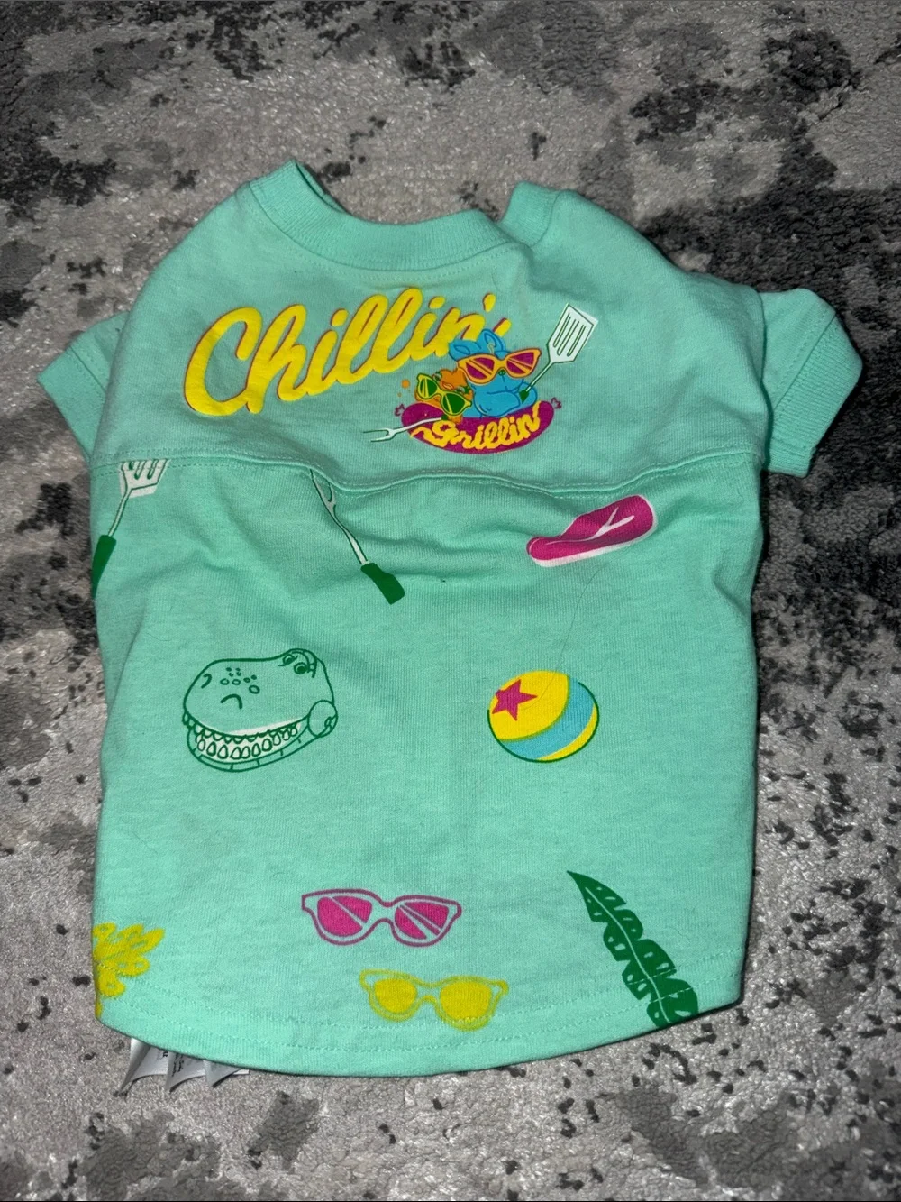 Disney Toy Story Chillin' and grillin Mint Graphic pet Tee